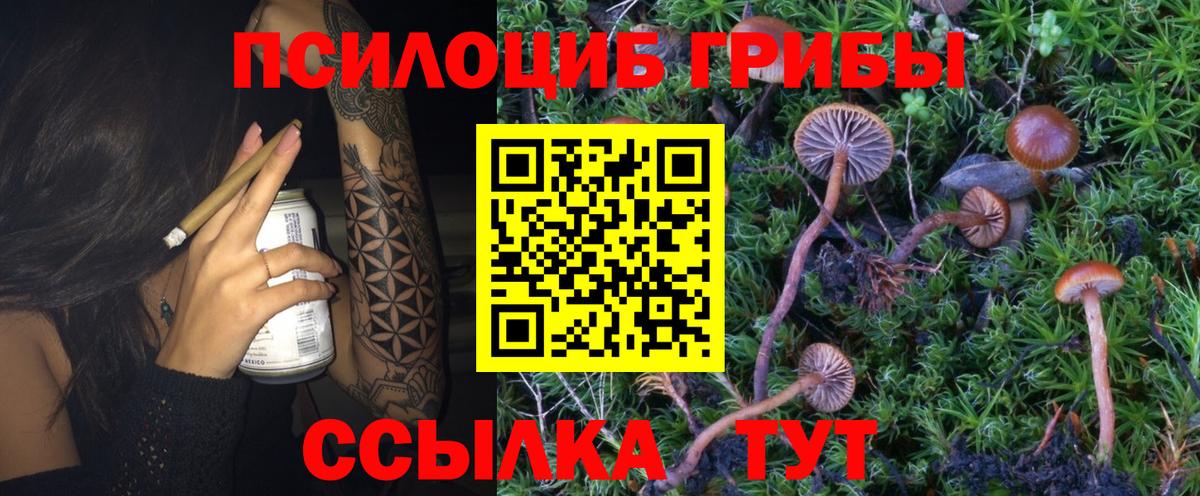 Галлюциногенные грибы Magic Shrooms Наро-Фоминск